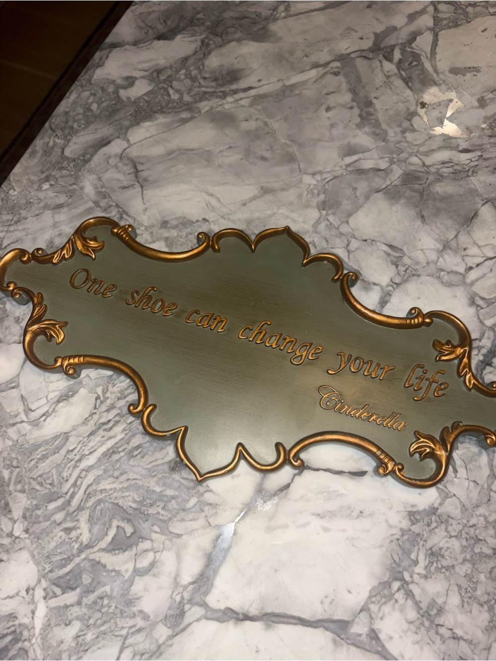 Decorative Cinderella ‘One Shoe Can Change Your Life' Wall Plaque (closet sign)